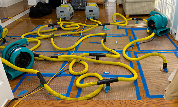 Professional Flood Damage Restoration technician working in Courtland, MN